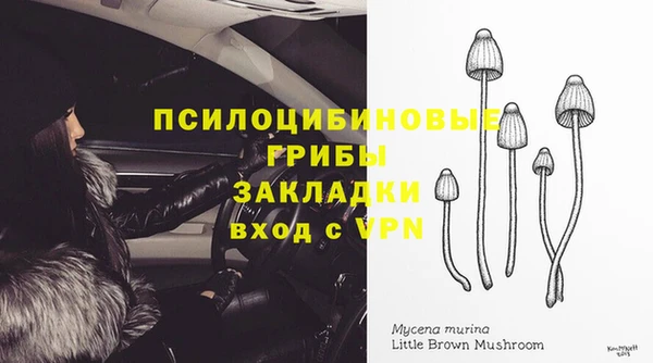 дмт Абаза